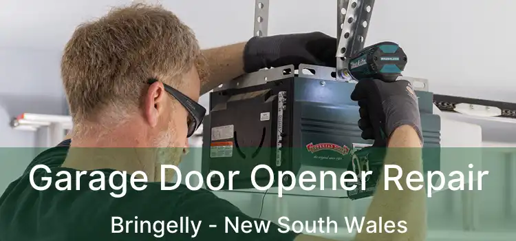 Garage Door Opener Repair Bringelly - New South Wales
