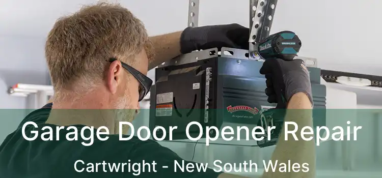 Garage Door Opener Repair Cartwright - New South Wales