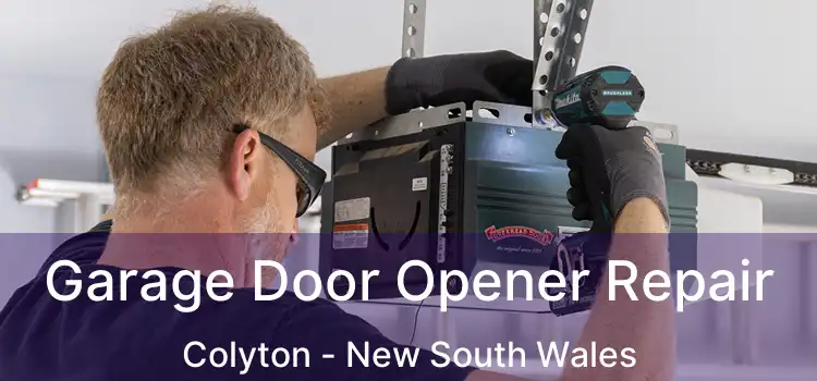 Garage Door Opener Repair Colyton - New South Wales