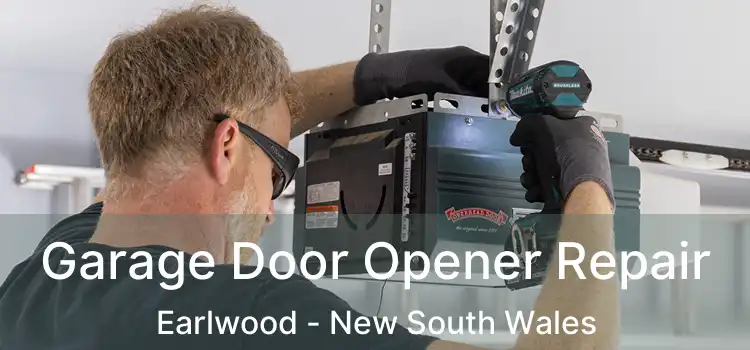 Garage Door Opener Repair Earlwood - New South Wales