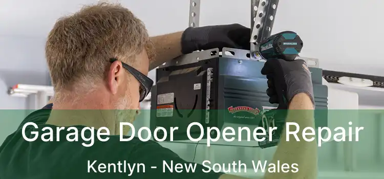 Garage Door Opener Repair Kentlyn - New South Wales