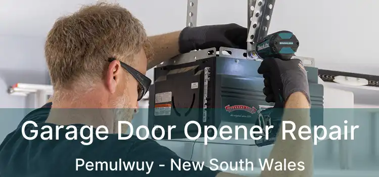 Garage Door Opener Repair Pemulwuy - New South Wales