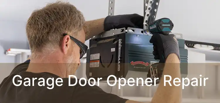 Garage Door Opener Repair