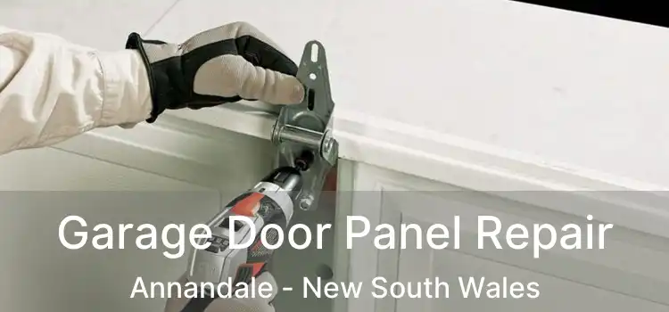 Garage Door Panel Repair Annandale - New South Wales