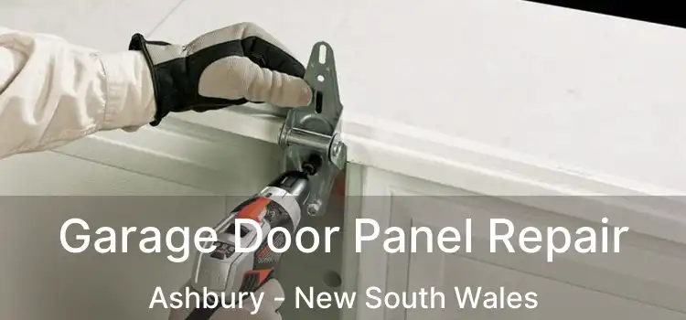 Garage Door Panel Repair Ashbury - New South Wales
