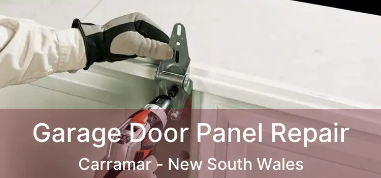Garage Door Panel Repair Carramar - New South Wales