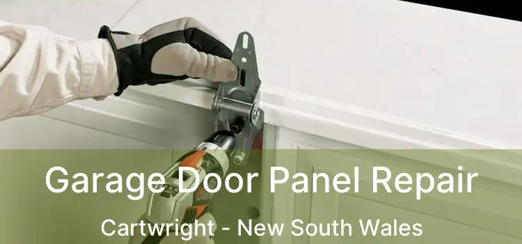 Garage Door Panel Repair Cartwright - New South Wales
