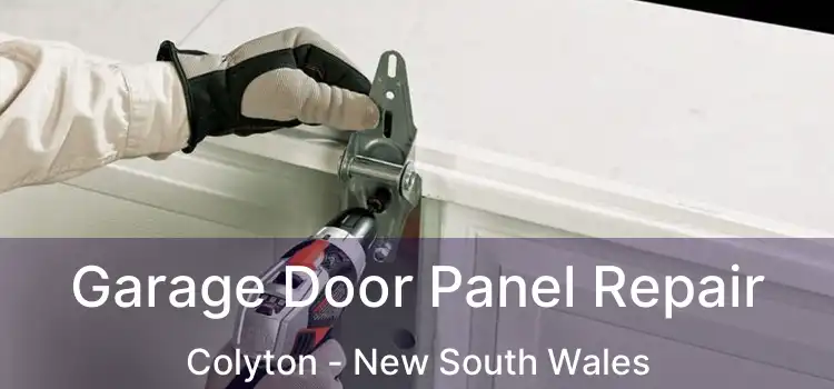Garage Door Panel Repair Colyton - New South Wales
