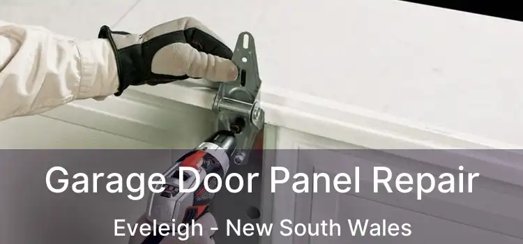 Garage Door Panel Repair Eveleigh - New South Wales