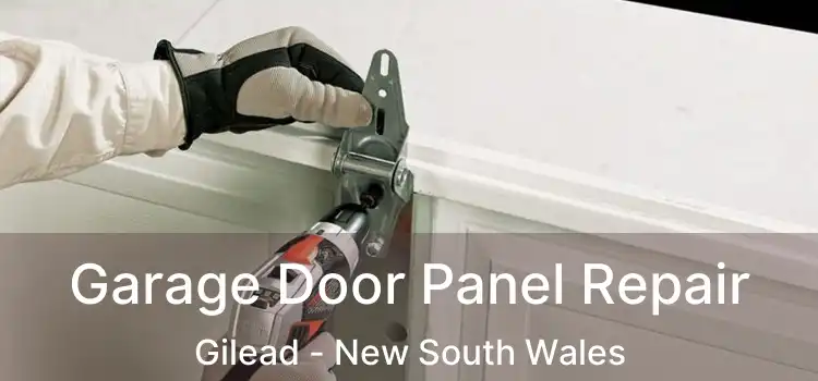 Garage Door Panel Repair Gilead - New South Wales