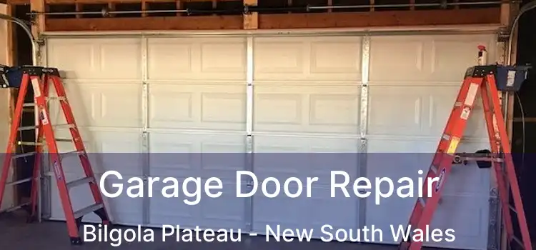 Garage Door Repair Bilgola Plateau - New South Wales