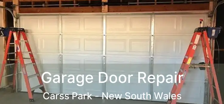 Garage Door Repair Carss Park - New South Wales
