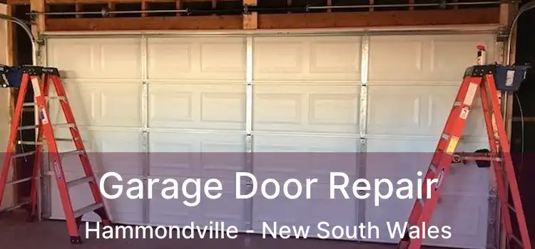 Garage Door Repair Hammondville - New South Wales