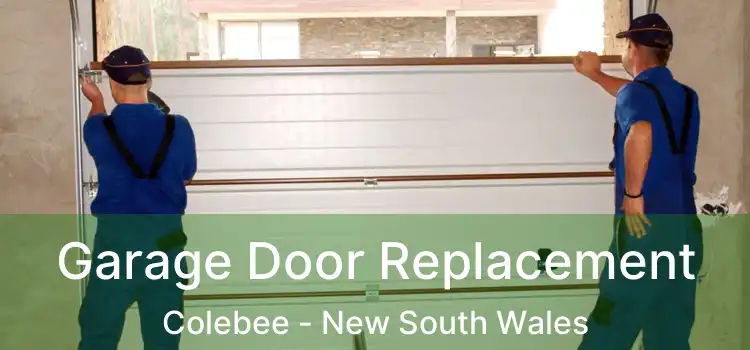 Garage Door Replacement Colebee - New South Wales