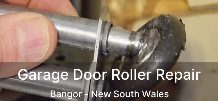 Garage Door Roller Repair Bangor - New South Wales
