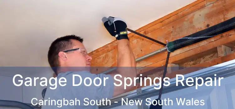 Garage Door Springs Repair Caringbah South - New South Wales