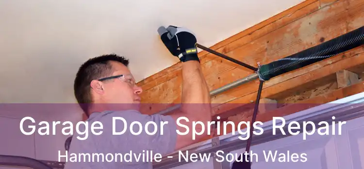 Garage Door Springs Repair Hammondville - New South Wales