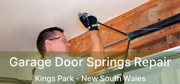 Garage Door Springs Repair Kings Park - New South Wales