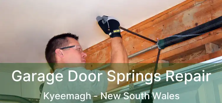 Garage Door Springs Repair Kyeemagh - New South Wales