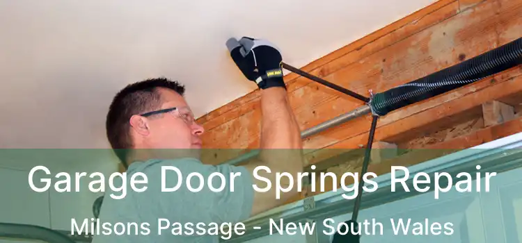 Garage Door Springs Repair Milsons Passage - New South Wales