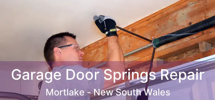 Garage Door Springs Repair Mortlake - New South Wales