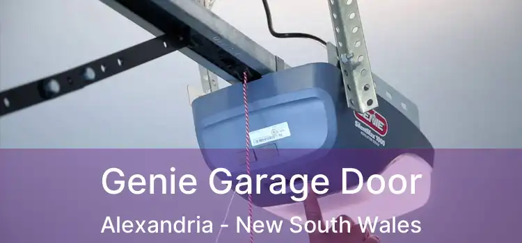 Genie Garage Door Alexandria - New South Wales