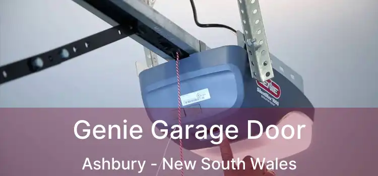 Genie Garage Door Ashbury - New South Wales