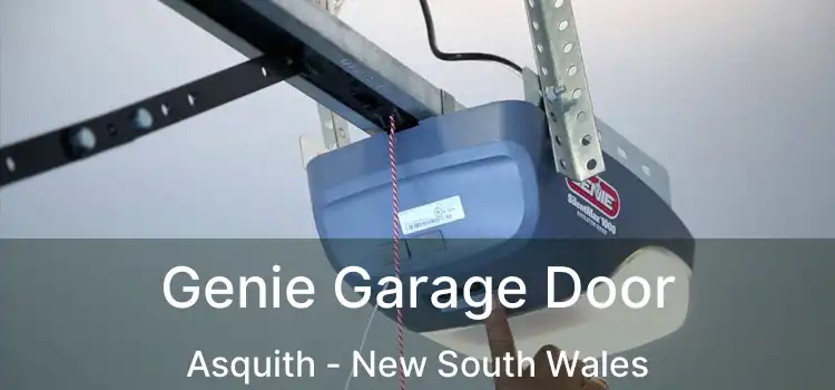 Genie Garage Door Asquith - New South Wales