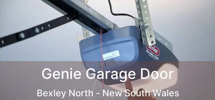 Genie Garage Door Bexley North - New South Wales