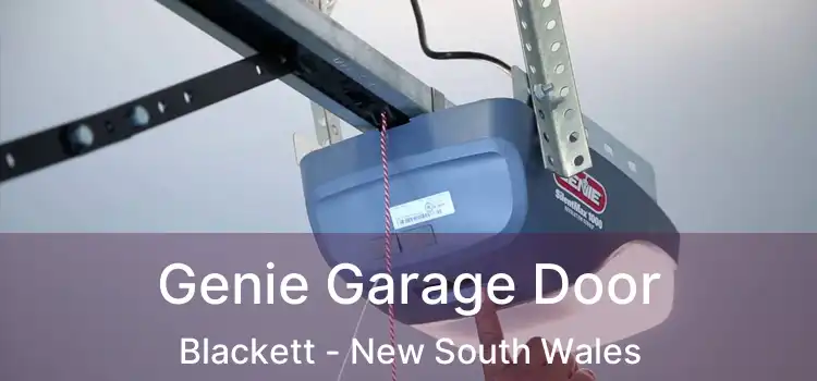 Genie Garage Door Blackett - New South Wales