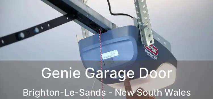 Genie Garage Door Brighton-Le-Sands - New South Wales