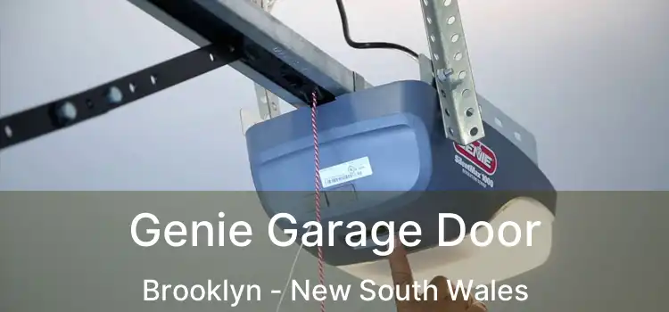 Genie Garage Door Brooklyn - New South Wales