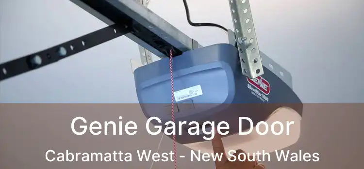 Genie Garage Door Cabramatta West - New South Wales