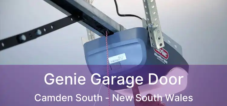 Genie Garage Door Camden South - New South Wales