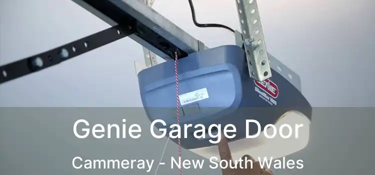Genie Garage Door Cammeray - New South Wales