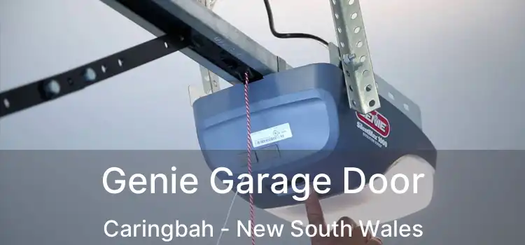 Genie Garage Door Caringbah - New South Wales