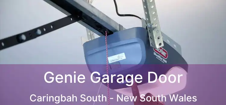 Genie Garage Door Caringbah South - New South Wales