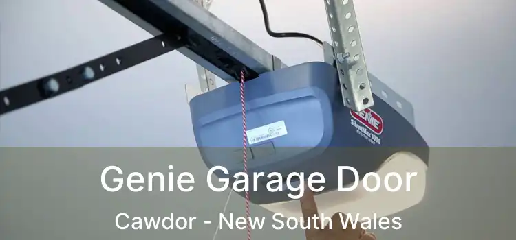 Genie Garage Door Cawdor - New South Wales