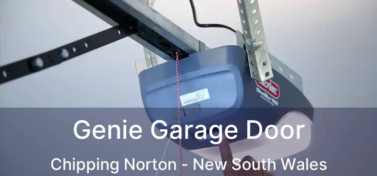Genie Garage Door Chipping Norton - New South Wales