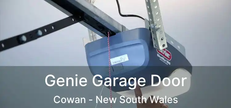 Genie Garage Door Cowan - New South Wales