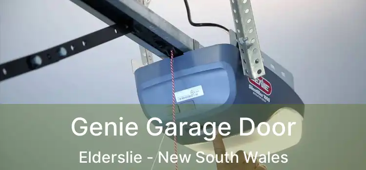 Genie Garage Door Elderslie - New South Wales