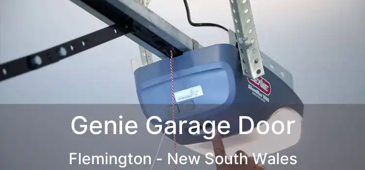 Genie Garage Door Flemington - New South Wales