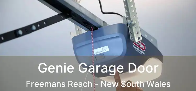 Genie Garage Door Freemans Reach - New South Wales