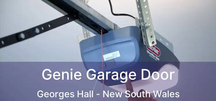 Genie Garage Door Georges Hall - New South Wales
