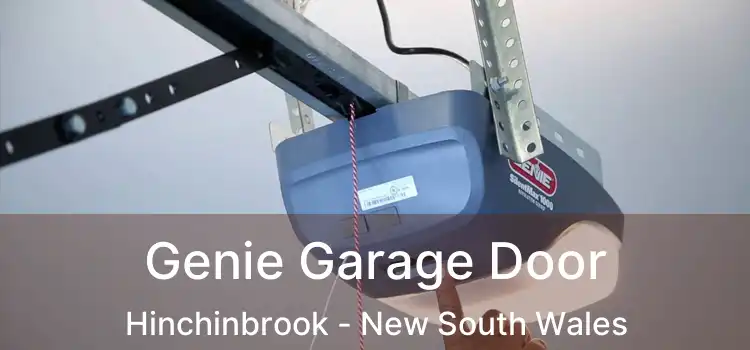 Genie Garage Door Hinchinbrook - New South Wales