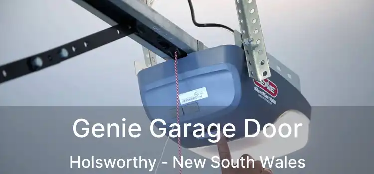 Genie Garage Door Holsworthy - New South Wales