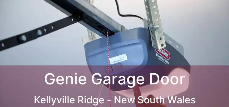 Genie Garage Door Kellyville Ridge - New South Wales