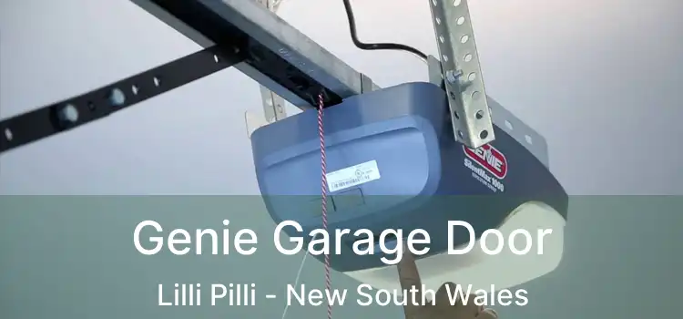 Genie Garage Door Lilli Pilli - New South Wales