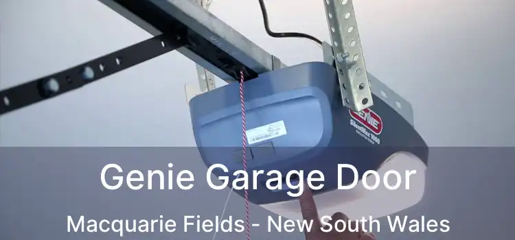 Genie Garage Door Macquarie Fields - New South Wales