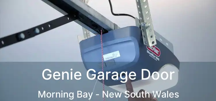Genie Garage Door Morning Bay - New South Wales